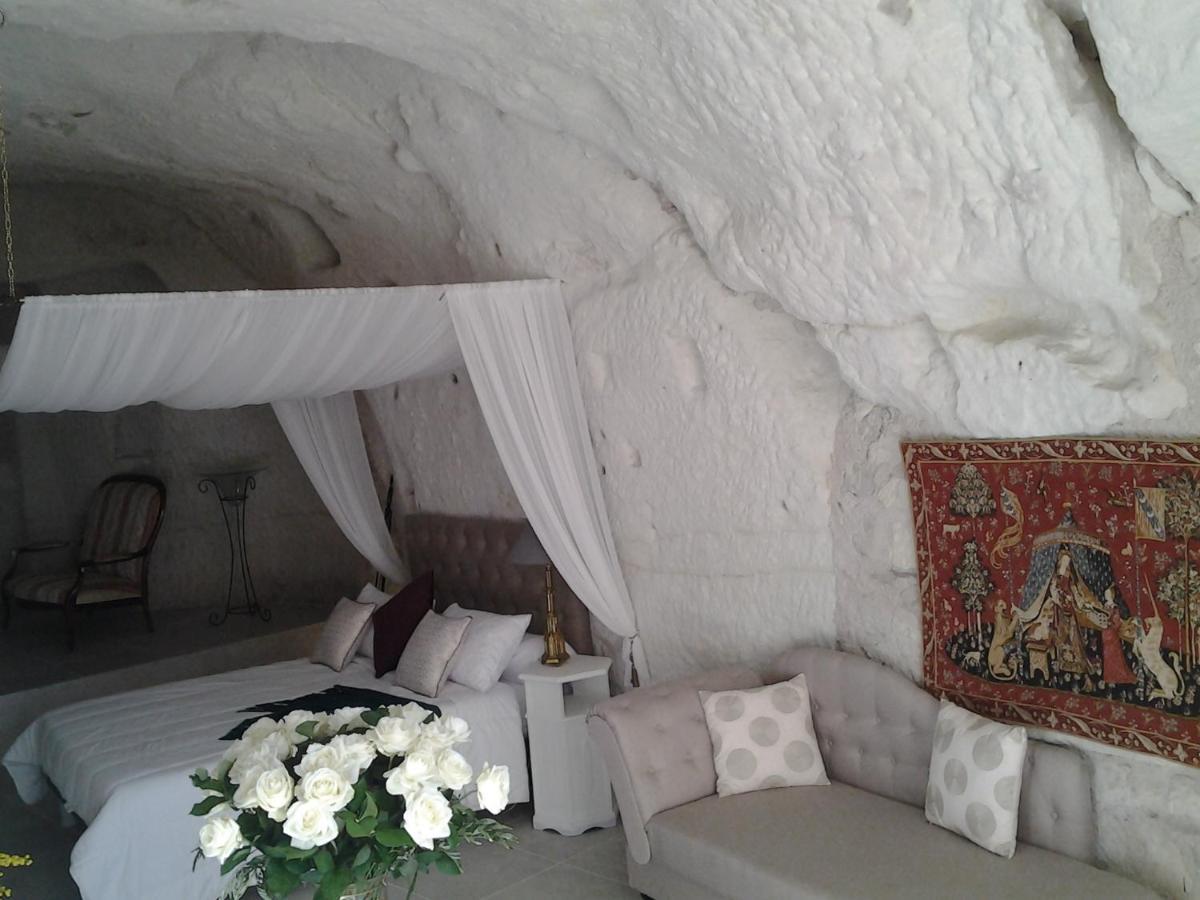 Le Manoir Des Roches Bed & Breakfast Bourre Bagian luar foto