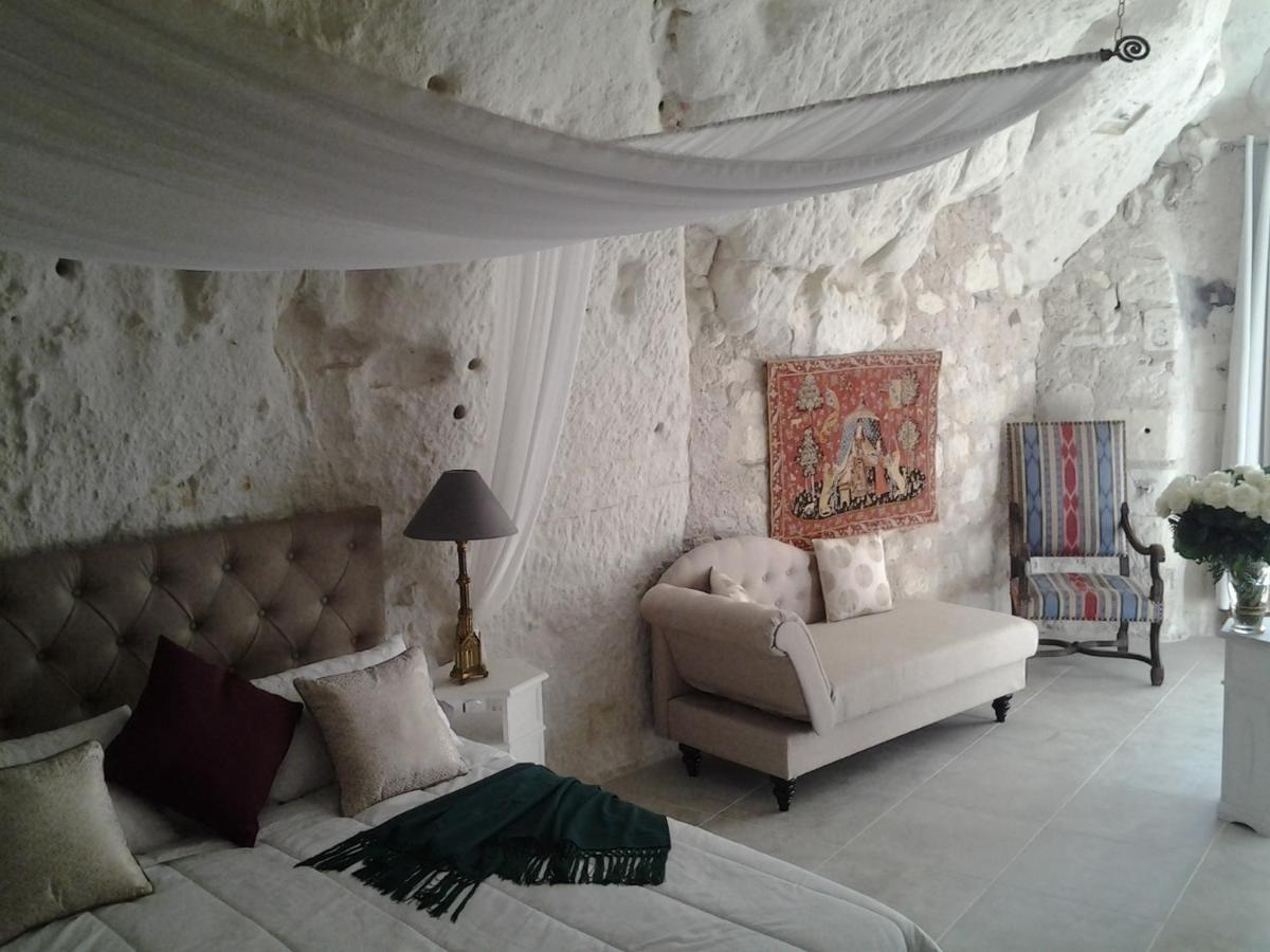Le Manoir Des Roches Bed & Breakfast Bourre Bagian luar foto