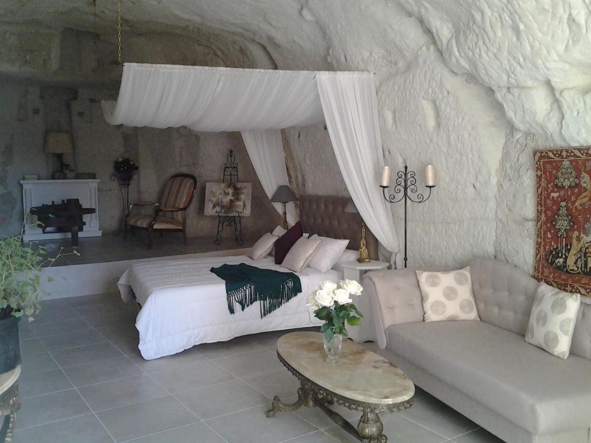 Le Manoir Des Roches Bed & Breakfast Bourre Bagian luar foto