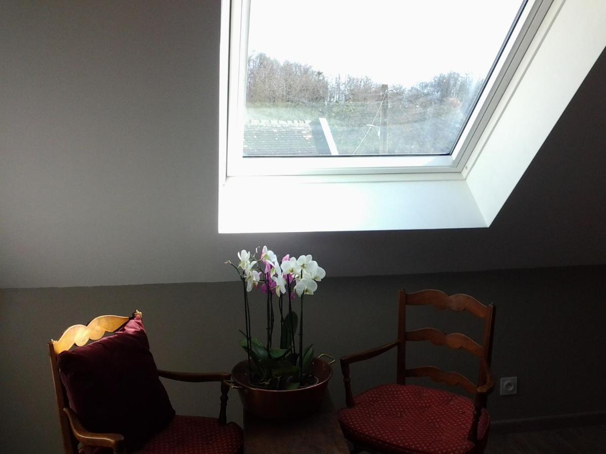 Le Manoir Des Roches Bed & Breakfast Bourre Bagian luar foto