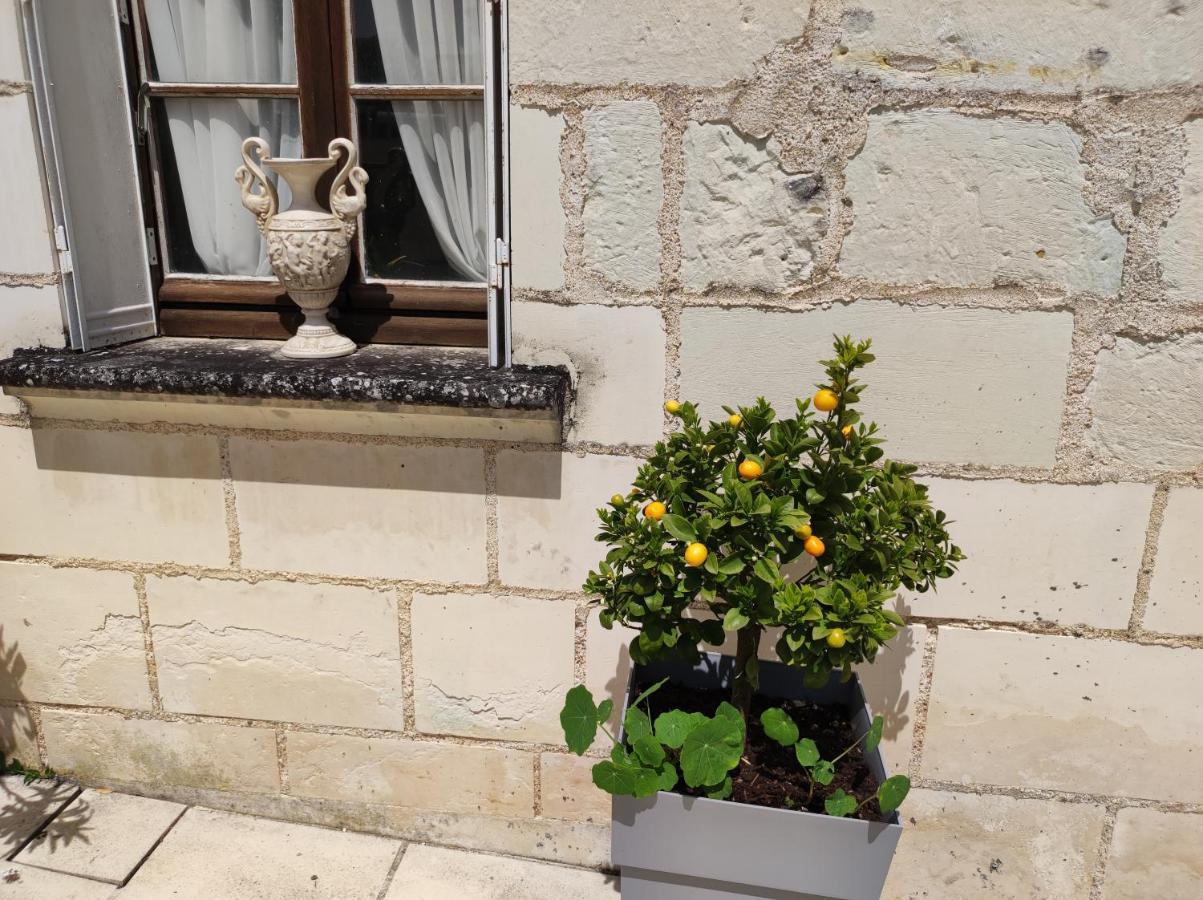Le Manoir Des Roches Bed & Breakfast Bourre Bagian luar foto