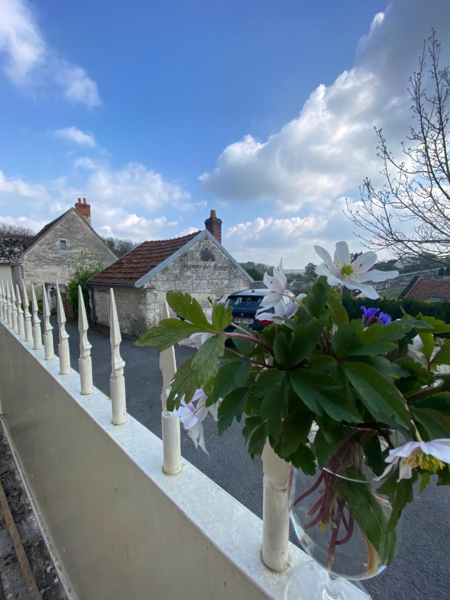 Le Manoir Des Roches Bed & Breakfast Bourre Bagian luar foto