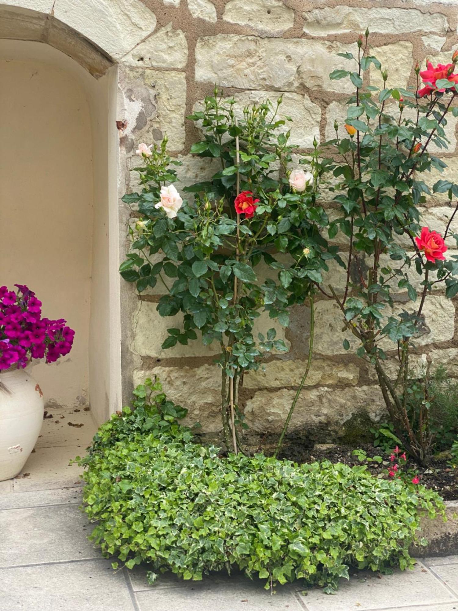 Le Manoir Des Roches Bed & Breakfast Bourre Bagian luar foto