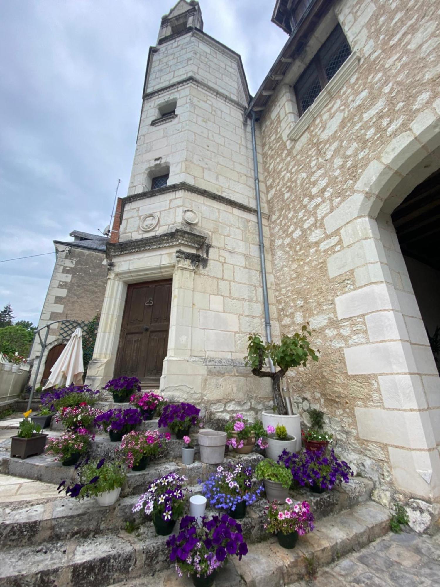 Le Manoir Des Roches Bed & Breakfast Bourre Bagian luar foto